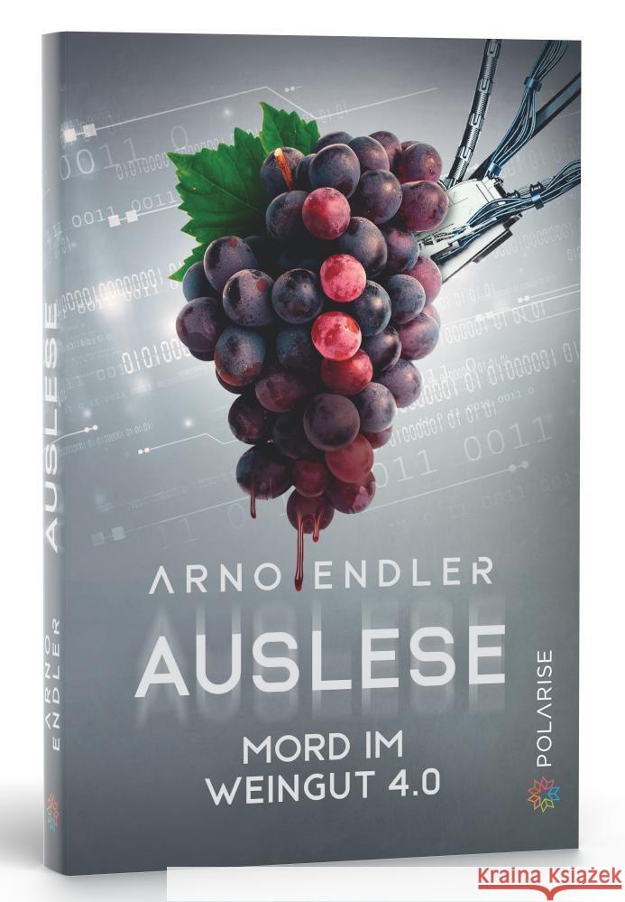 Auslese Endler, Arno 9783949345364 dpunkt - książka