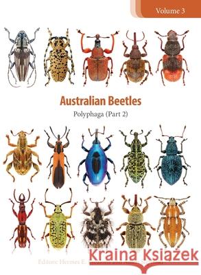Australian Beetles Volume 3: Polyphaga (Part 2) Hermes Escalona, Adam Slipinski 9781486314539 CSIRO Publishing - książka