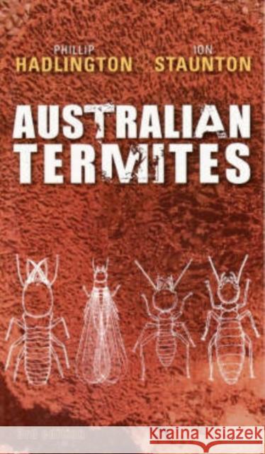 Australian Termites Phillip W. Hadlington Ion Staunton Louise Beck 9780868408934 UNSW Press - książka