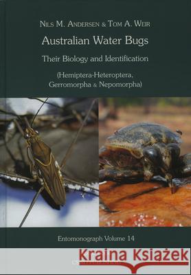 Australian Water Bugs. (Hemiptera - Heteroptera, Gerromorpha & Nepomorpha): Their Biology and Identification Nils M. Andersen Tom A. Weir 9788788757781 Apollo Books - książka