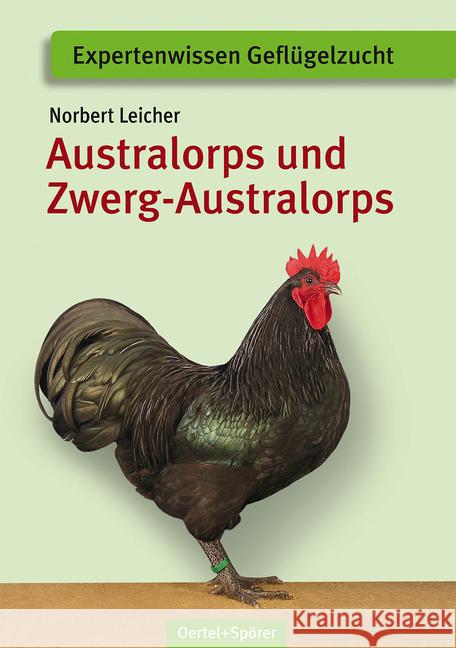 Australorps und Zwerg-Australorps Leicher, Norbert 9783886275632 Oertel & Spörer - książka