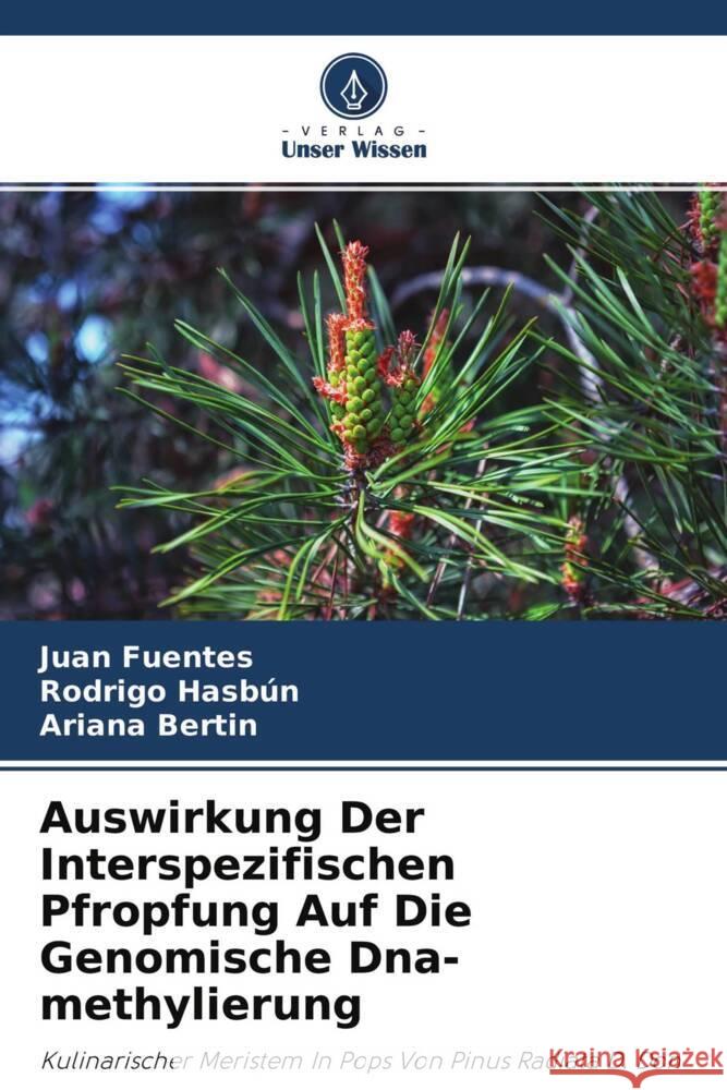 Auswirkung Der Interspezifischen Pfropfung Auf Die Genomische Dna-methylierung Fuentes, Juan, Hasbún, Rodrigo, Bertin, Ariana 9786204554471 Verlag Unser Wissen - książka