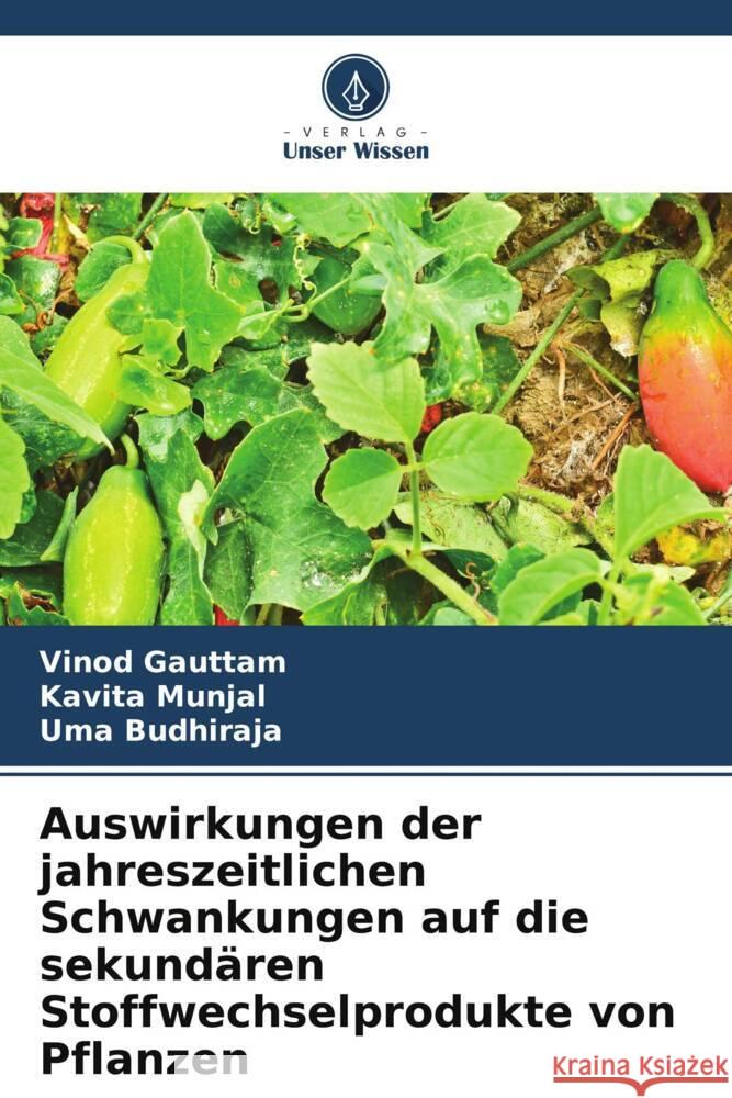 Auswirkungen der jahreszeitlichen Schwankungen auf die sekund?ren Stoffwechselprodukte von Pflanzen Vinod Gauttam Kavita Munjal Uma Budhiraja 9786207136155 Verlag Unser Wissen - książka