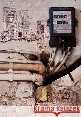 Automatic Safe Dog Jet McDonald 9781908125002 Eibonvale Press - książka