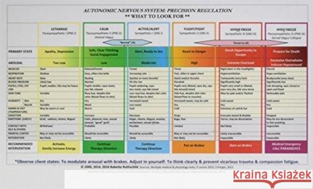 Autonomic Nervous System Table: Laminated Card Rothschild, Babette 9780393712803 WW Norton & Co - książka