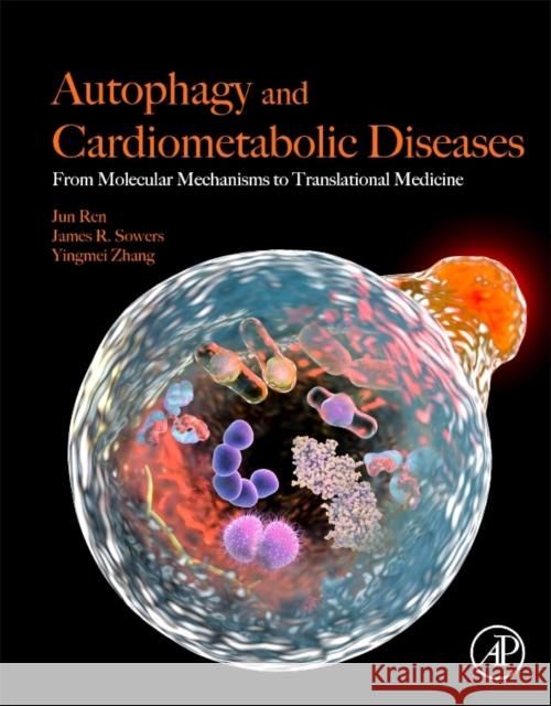 Autophagy and Cardiometabolic Diseases: From Molecular Mechanisms to Translational Medicine Ren, Jun 9780128052532 Academic Press - książka