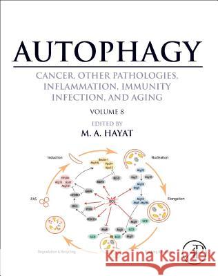 Autophagy: Cancer, Other Pathologies, Inflammation, Immunity, Infection, and Aging: Volume 8- Human Diseases M. A. Hayat 9780128029374 ACADEMIC PRESS - książka