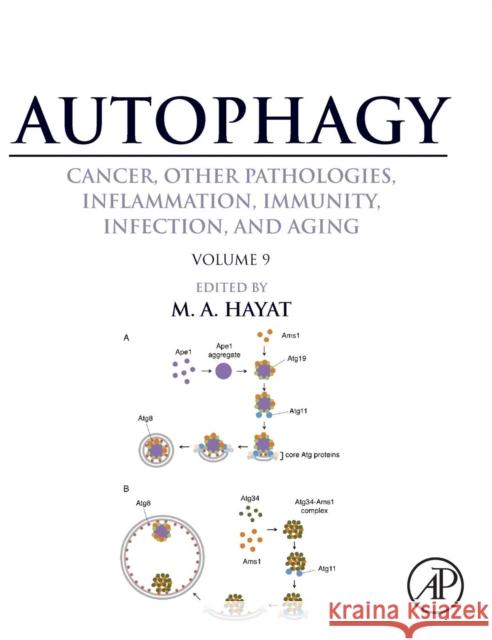 Autophagy: Cancer, Other Pathologies, Inflammation, Immunity, Infection, and Aging: Volume 9: Human Diseases and Autophagosome M. A. Hayat 9780128029367 Academic Press - książka