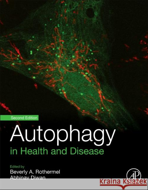 Autophagy in Health and Disease Beverly Rothermel Abhinav Diwan 9780128220030 Academic Press - książka