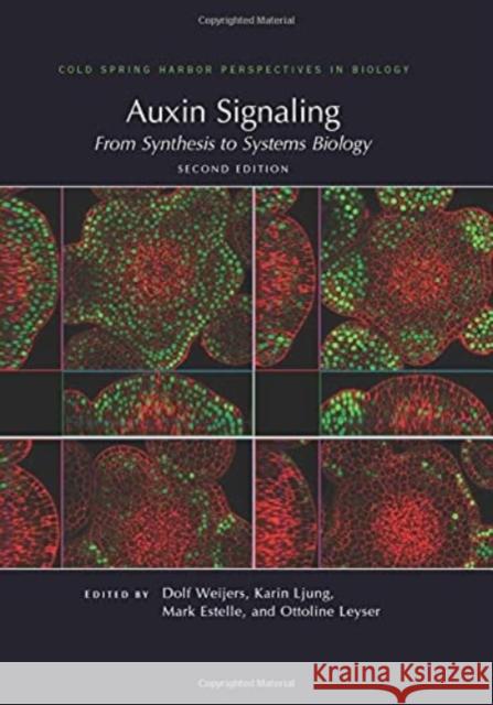 Auxin Signaling: From Synthesis to Systems Biology, Second Edition Dolf Weijers Karin Ljung Ottoline Leyser 9781621824008 Cold Spring Harbor Laboratory Press - książka