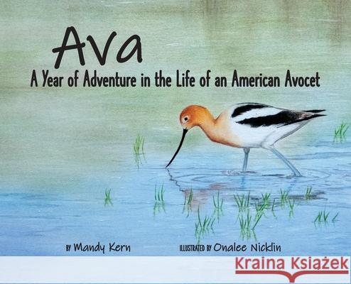 Ava: A Year of Adventure in the Life of an American Avocet Mandy Kern Onalee Nicklin 9781736223239 Meadowlark - książka