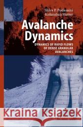 Avalanche Dynamics: Dynamics of Rapid Flows of Dense Granular Avalanches Pudasaini, S. P. 9783642069192 Not Avail - książka