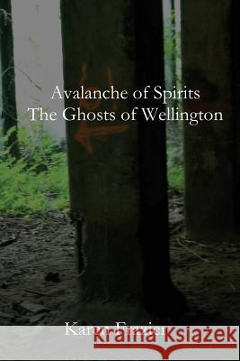 Avalanche of Spirits: The Ghosts of Wellington Karen Frazier 9781482396683 Createspace - książka