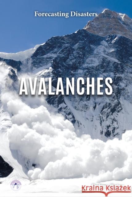Avalanches Dalton Rains 9798892506588 Apex - książka