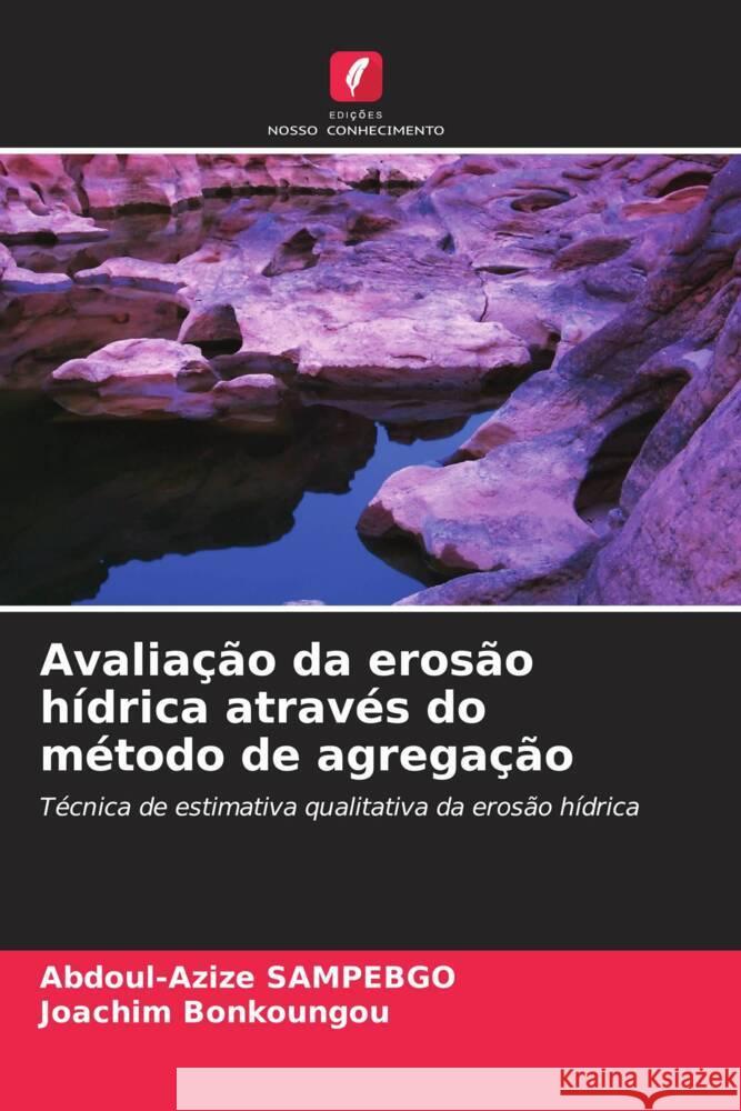 Avaliação da erosão hídrica através do método de agregação SAMPEBGO, Abdoul-Azize, Bonkoungou, Joachim 9786208155223 Edições Nosso Conhecimento - książka