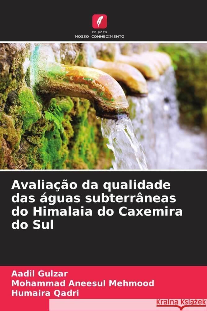 Avaliação da qualidade das águas subterrâneas do Himalaia do Caxemira do Sul Gulzar, Aadil, Mehmood, Mohammad Aneesul, Qadri, Humaira 9786205449134 Edições Nosso Conhecimento - książka