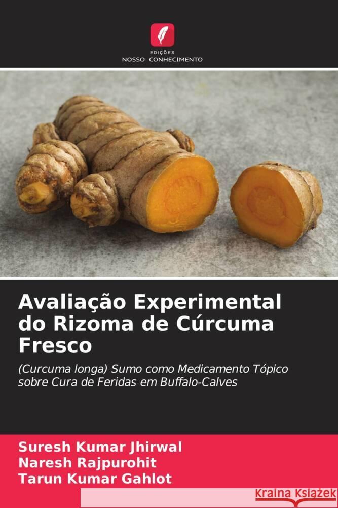 Avaliação Experimental do Rizoma de Cúrcuma Fresco Jhirwal, Suresh Kumar, Rajpurohit, Naresh, Gahlot, Tarun Kumar 9786205085561 Edições Nosso Conhecimento - książka