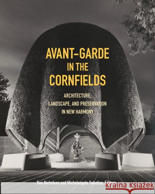 Avant-Garde in the Cornfields: Architecture, Landscape, and Preservation in New Harmony Michelangelo Sabatino Ben Nicholson 9781517903138 University of Minnesota Press - książka