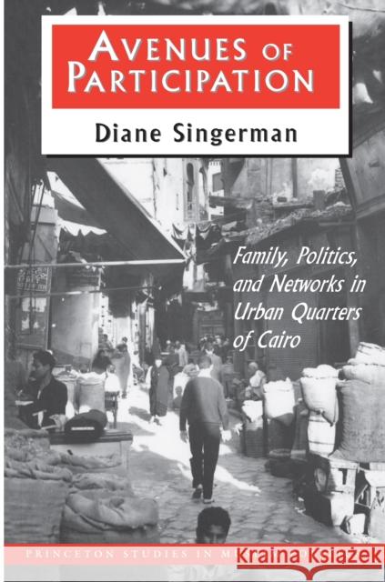 Avenues of Participation: Family, Politics, and Networks in Urban Quarters of Cairo Singerman, Diane 9780691025681 Princeton University Press - książka