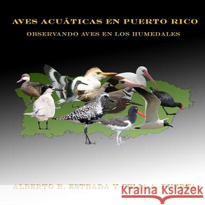 Aves Acuáticas en Puerto Rico: Observando Aves en los Humedales Puerta, Celia a. 9781517475130 Createspace - książka