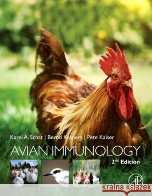 Avian Immunology Karel Schat 9780123969651  - książka