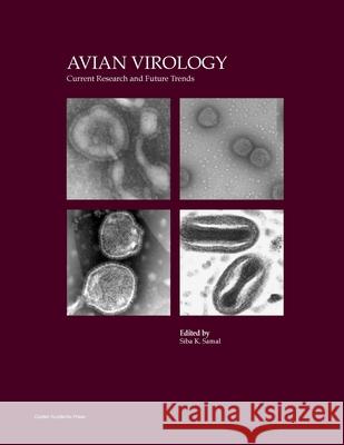 Avian Virology: Current Research and Future Trends Siba K. Samal 9781912530106 Caister Academic Press - książka