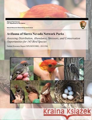 Avifauna of Sierra Nevada Network Parks: Assessing Distribution, Abundance, Stressors, and Conservation Opportunities for 145 Bird Species Zachary L. Steel Monica L. Bond Rodney B. Siegel 9781493744442 Createspace - książka