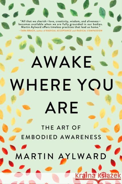 Awake Where You Are: The Art of Embodied Awareness Martin Aylward 9781614297222 Wisdom Publications - książka