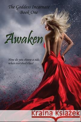 Awaken B. L. Callaghan 9780648844853 Bianca Callaghan - książka