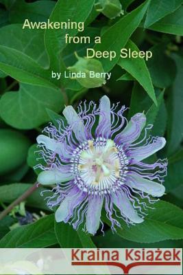 Awakening from A Deep Sleep Linda Berry 9781435716650 Lulu.com - książka