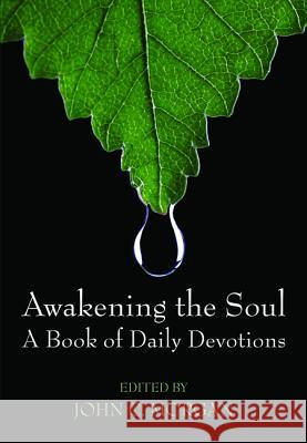 Awakening the Soul John C. Morgan 9781498235860 Wipf & Stock Publishers - książka
