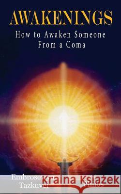 Awakenings: How to Awaken Someone from a Coma Embrosewyn Tazkuvel Philos 9780938001058 Kaleidoscope Publications - książka