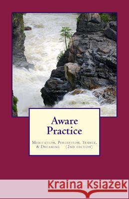 Aware Practice: Meditation, Perception, Trance, & Dreaming: Second Edition Loren Cruden 9781534743168 Createspace Independent Publishing Platform - książka
