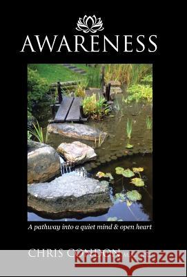 Awareness: A pathway into a quiet mind & open heart Condon M. a., L. P. C. Chris 9781504352789 Balboa Press - książka