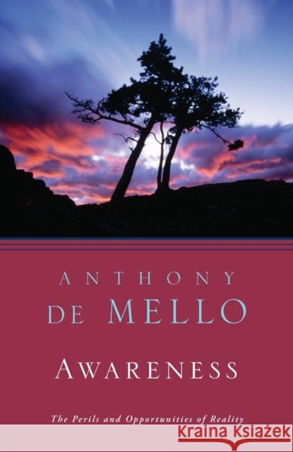 Awareness: Conversations with the Masters Anthony d J. Francis Stroud J. Francis Stroud 9780385249379 Doubleday Books - książka