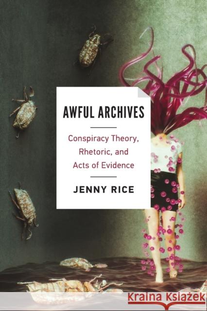 Awful Archives: Conspiracy Theory, Rhetoric, and Acts of Evidence Jenny Rice 9780814255797 Ohio State University Press - książka