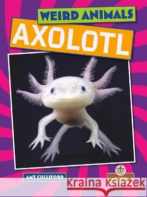 Axolotl Amy Culliford 9781039810365 Crabtree Publishing Company - książka