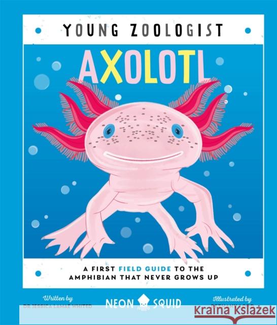 Axolotl (Young Zoologist): A First Field Guide to the Amphibian That Never Grows Up Neon Squid 9781916745094 Priddy Books - książka