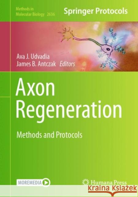 Axon Regeneration: Methods and Protocols Ava J. Udvadia James B. Antczak 9781071630112 Humana - książka