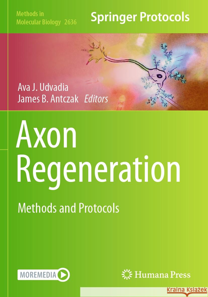 Axon Regeneration: Methods and Protocols Ava J. Udvadia James B. Antczak 9781071630143 Humana - książka