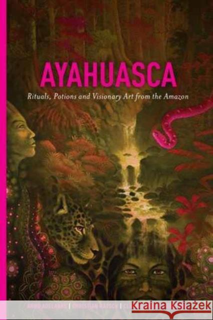 Ayahuasca: Rituals, Potions and Visionary Art from the Amazon Arno Adelaars Claudia Muller-Ebeling Christian Ratsch 9781611250510 Divine Arts - książka