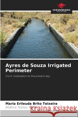 Ayres de Souza Irrigated Perimeter Teixeira, Maria Erileuda Brito, Diniz, Aldiva Sales 9786208668556 Our Knowledge Publishing - książka