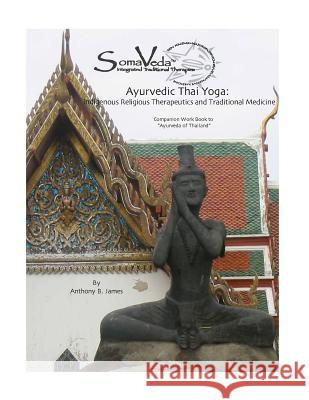 Ayurvedic Thai Yoga: SomaVeda(R) Level Two Workbook James, Anthony B. 9781886338104 Meta Journal Press - książka