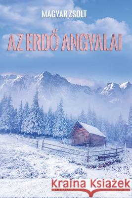 AZ Erdo Angyalai Zsolt Magyar 9789634248231 Publio - książka