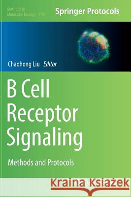 B Cell Receptor Signaling: Methods and Protocols Liu, Chaohong 9781493974733 Humana Press - książka
