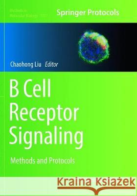 B Cell Receptor Signaling: Methods and Protocols Liu, Chaohong 9781493984978 Humana Press - książka
