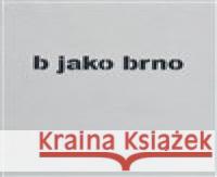 b jako brno TIMO 9788072274208 Druhé město - książka