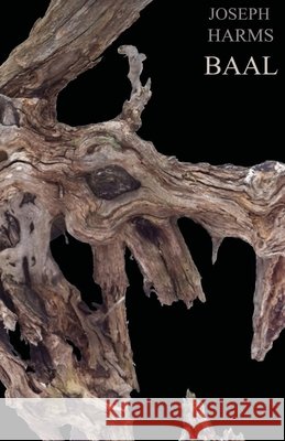 Baal Joseph Harms 9781495360329 Createspace - książka