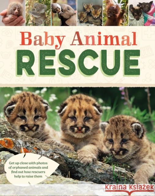 Baby Animal Rescue Susie Williams 9781445195612 Hachette Children's Group - książka