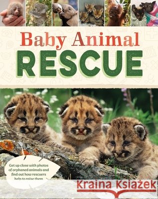 Baby Animal Rescue Susie Williams 9781445195629 Hachette Children's Group - książka